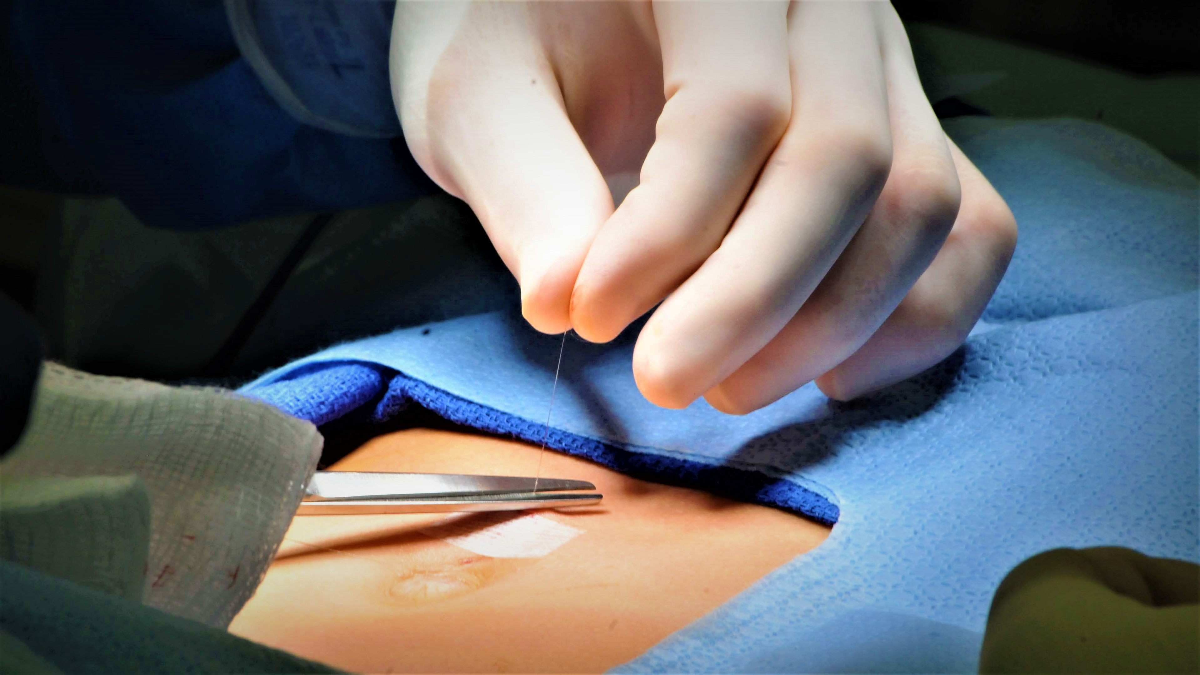 Yosemite National Park